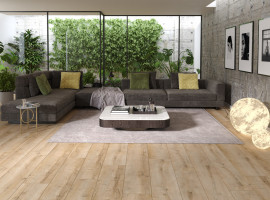 Arteo 8 XXL